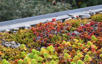 the cost of Redmonsford green roof installation