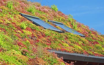 Redmonsford living roof systems